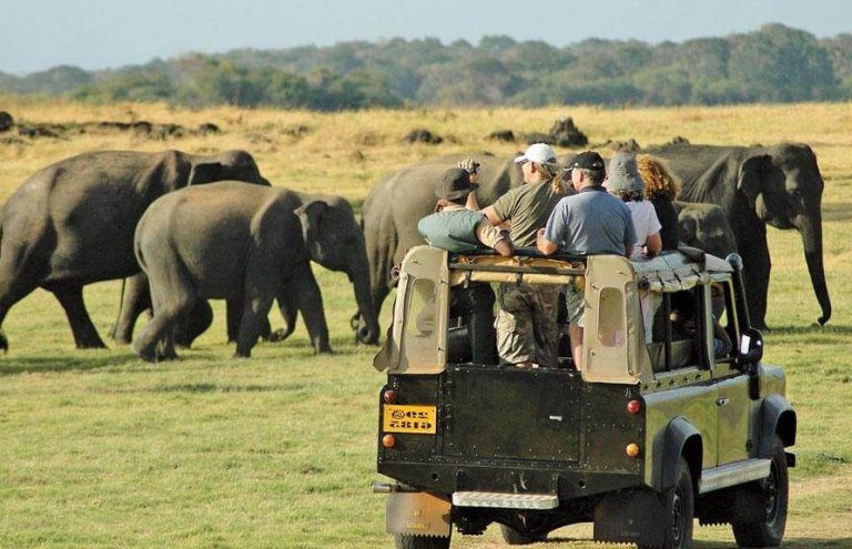 Turismo na África do Sul: melhores atividades para fazer no país