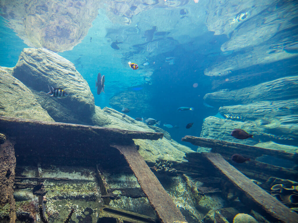 turismo na África do Sul - uShaka Marine World