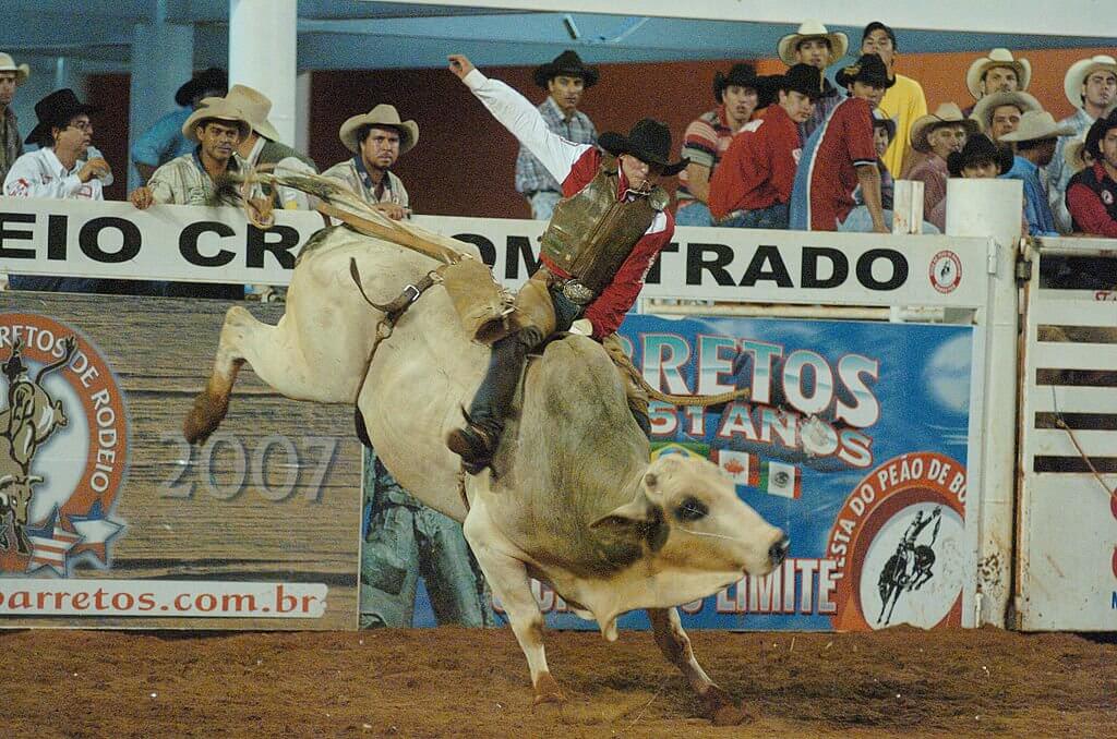 festas populares brasileiras - Festa do Peão de Barretos: o legado sertanejo