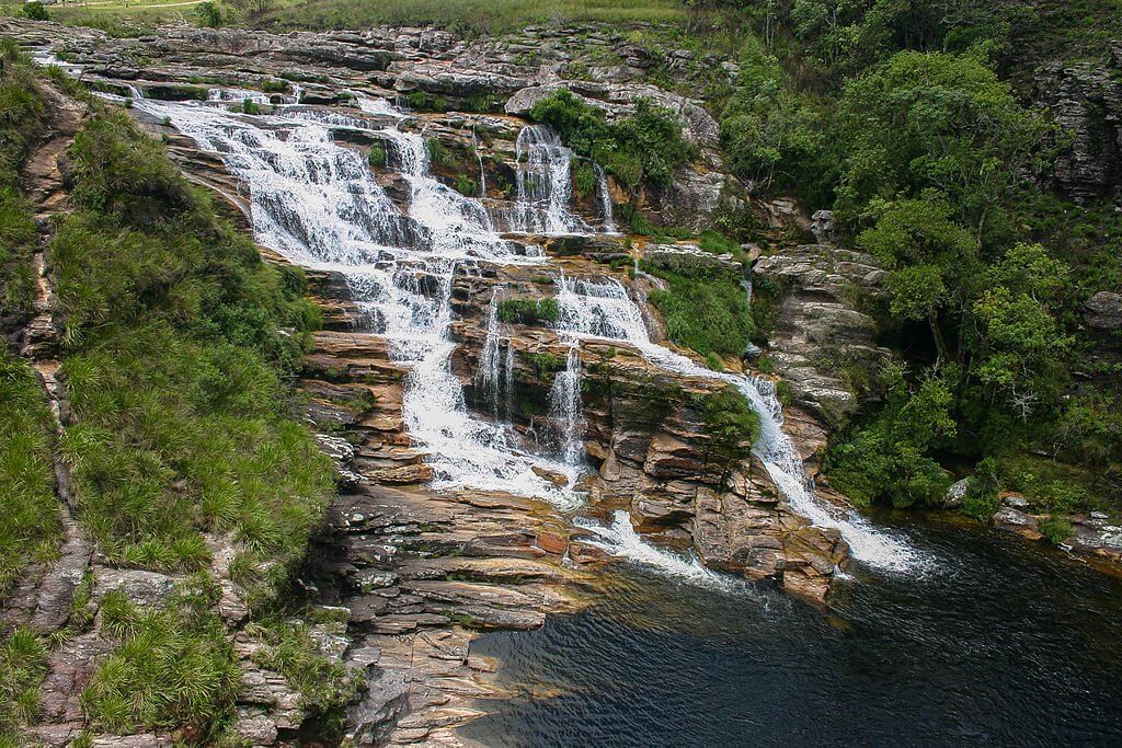 Serra da Canastra - Fauna e flora da Serra da Canastra