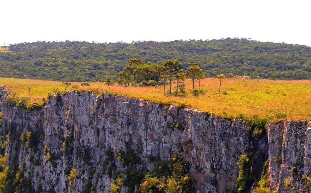 Rio do Rastro - Cânion das Laranjeiras