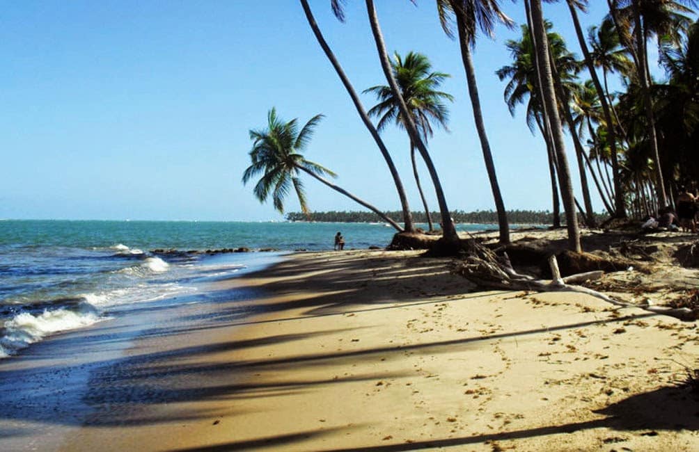 praias em Porto de Galinhas - Praia de Camboa