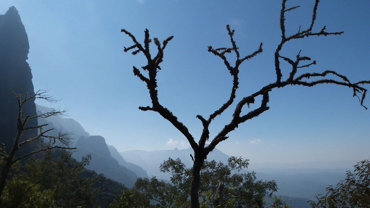 Serra do Corvo Branco