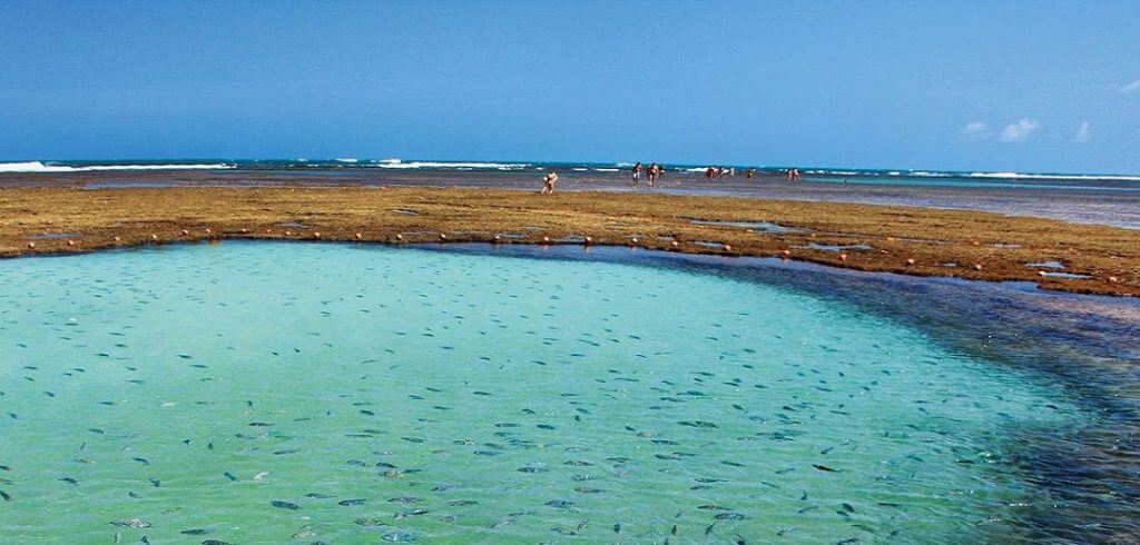 recife de fora porto seguro 5 encantadores passeios em Porto Seguro para fazer nas férias