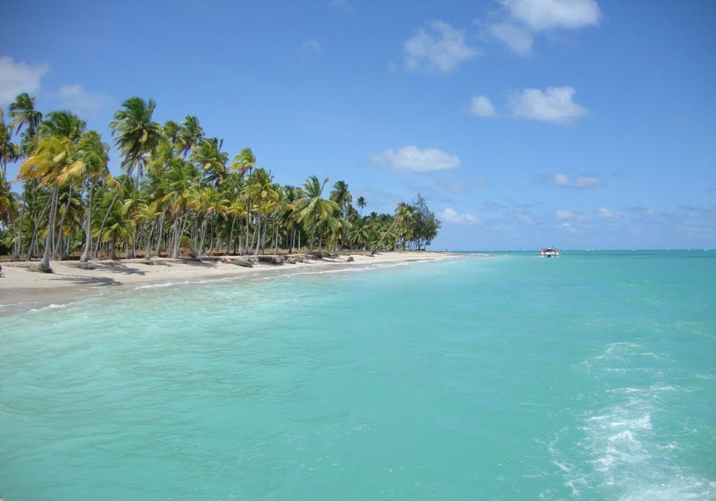 Praia de Antunes: saiba tudo sobre a praia em Maragogi