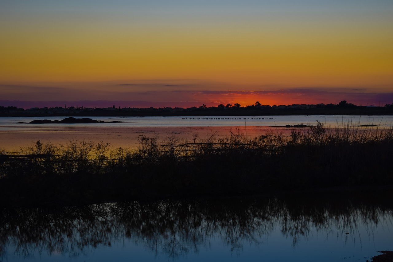 Roteiro de viagem no Pantanal mato-grossense