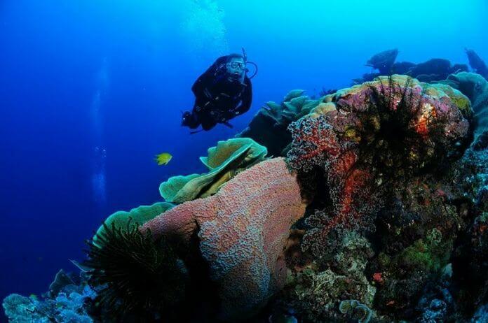lugares para fazer mergulho - Papua Nova Guiné, Mar de Bismarck