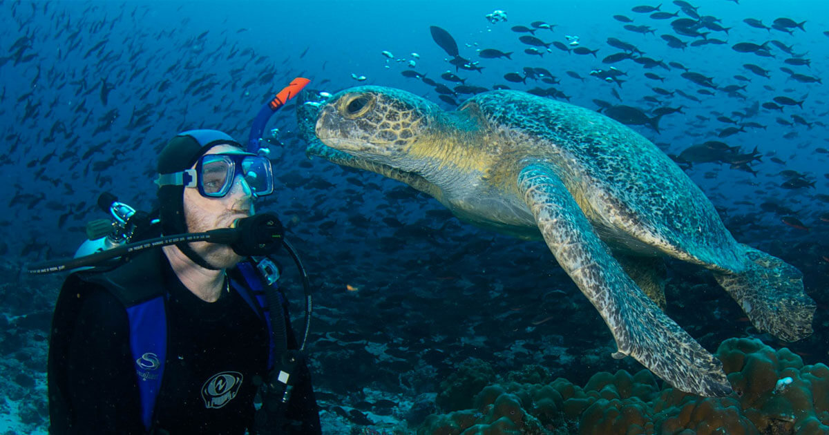 lugares para fazer mergulho - Ilhas Galápagos
