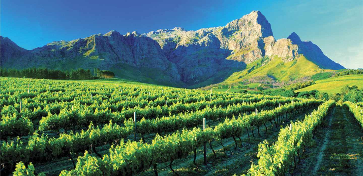 winelands full day Joanesburgo ou Cidade do Cabo: veja tudo sobre os destinos