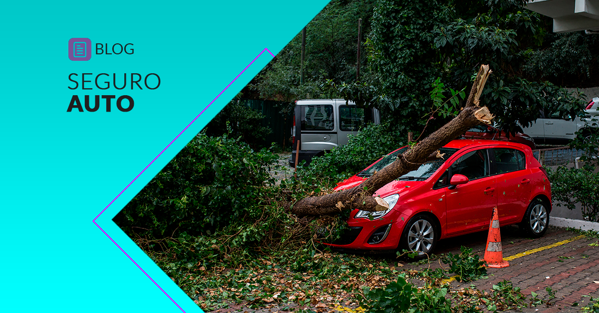 queda de árvore sobre carro vermelho